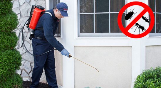 Batman Hamam Böceği İlaçlama böcek ilaçlama ve haşere kontrolü — ilaclama-tr.com